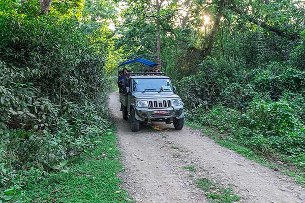 jungle-safari-activities-in-chitwan-national-park-jungle-walk