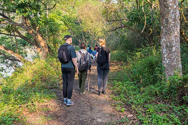 jungle-safari-activities-in-chitwan-national-park-jungle-walk