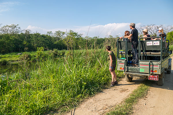 jungle-safari-activities-jeep-safari-in-chitwan-national-park